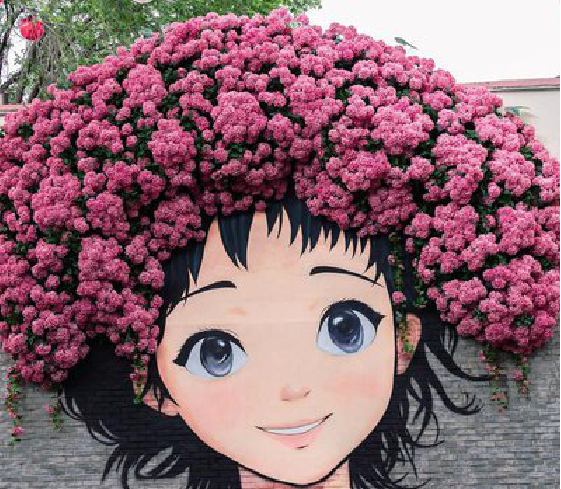 赤水市墙体彩绘-网红墙打卡